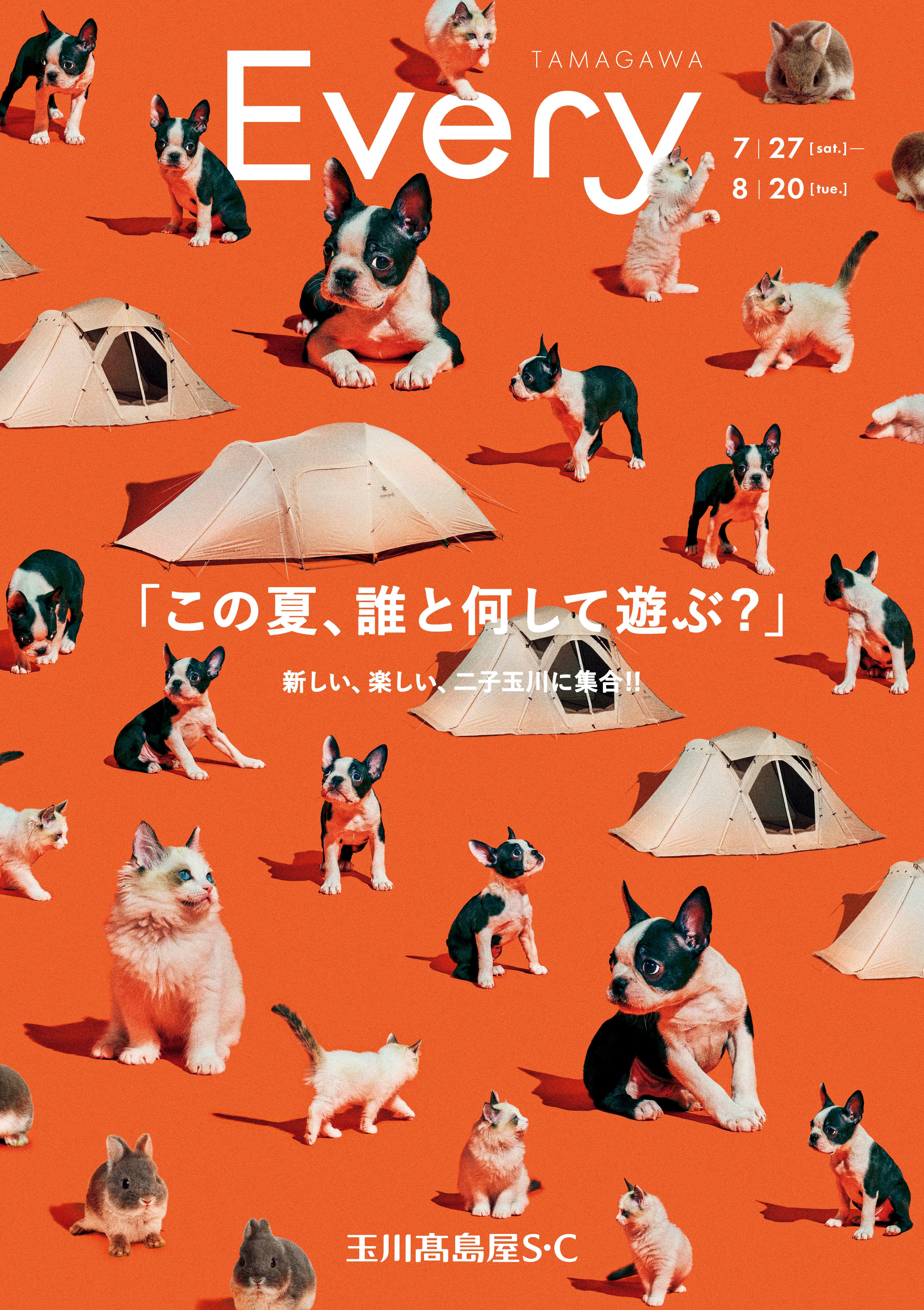 イメージ画像