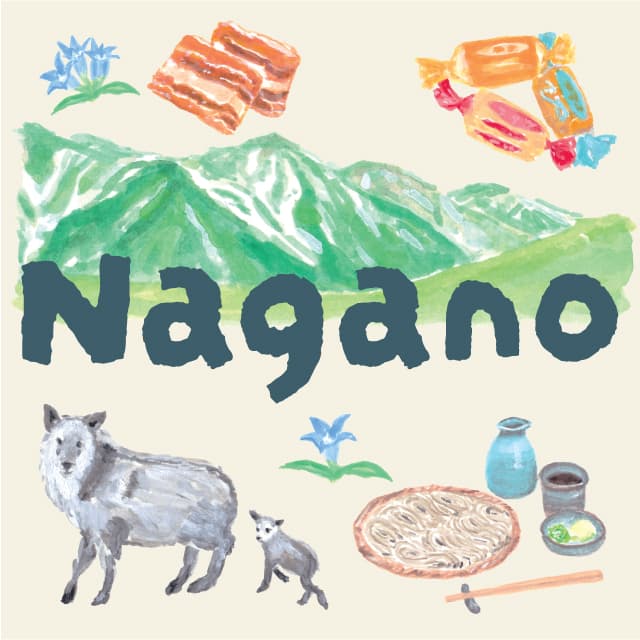 イメージ画像